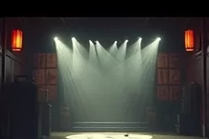 老院子的四季修复版封面：院中老树与四季变化的角落